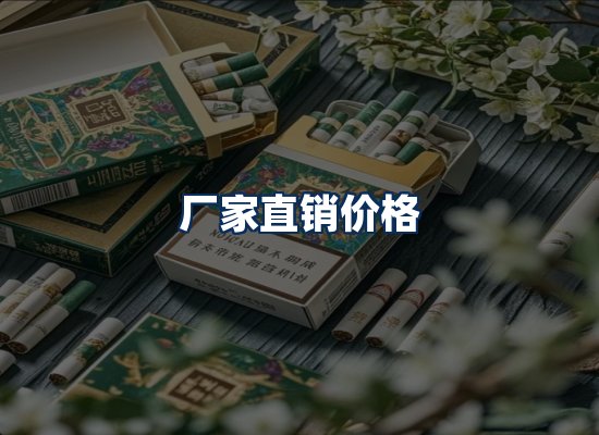 专业团队办公环境